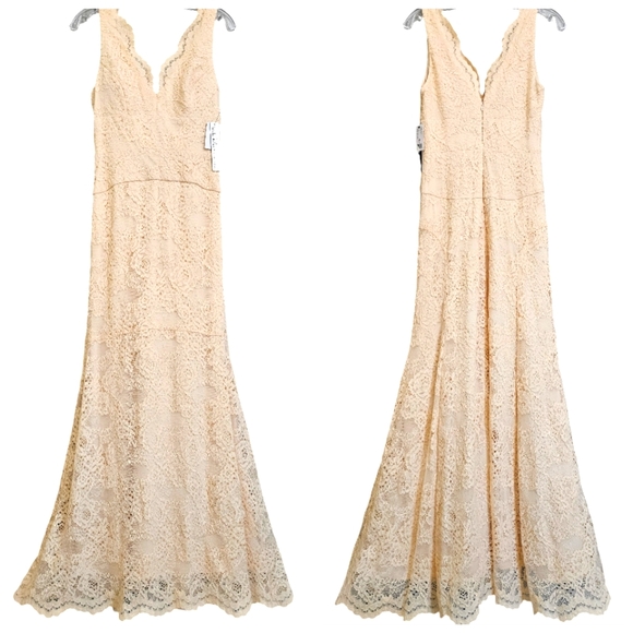 Nwt Nicole Miller Ny Blush Lace Sleeveless Evening Gown - Picture 11 of 17